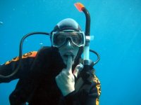 dorschinger avatar