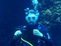 19GreatWhiteShark92 avatar