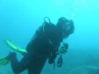 HamburgDiver avatar