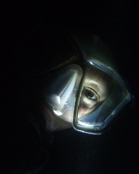 markcra avatar