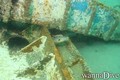 scuba diving photo