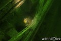scuba diving photo