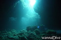 scuba diving photo