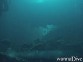 scuba diving photo