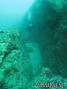 scuba diving photo