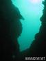 scuba diving photo