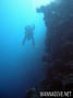 scuba diving photo