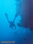 scuba diving photo