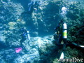 scuba diving photo