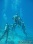 scuba diving photo