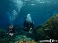 scuba diving photo