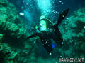 scuba diving photo