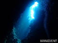 scuba diving photo