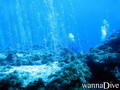 scuba diving photo