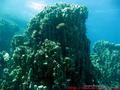 scuba diving photo