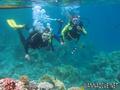 scuba diving photo