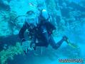 scuba diving photo