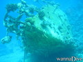 scuba diving photo