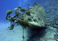 scuba diving photo