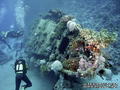 scuba diving photo