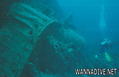 scuba diving photo