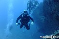 scuba diving photo