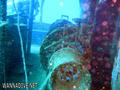 scuba diving photo