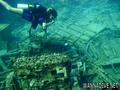 scuba diving photo