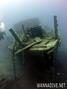 scuba diving photo