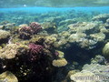 scuba diving photo
