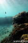 scuba diving photo