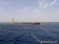 scuba diving photo