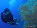 scuba diving photo