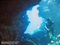 scuba diving photo