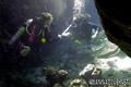 scuba diving photo