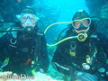 scuba diving photo