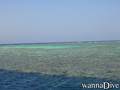 scuba diving photo