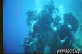 scuba diving photo