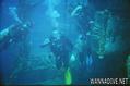 scuba diving photo