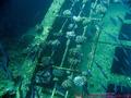 scuba diving photo