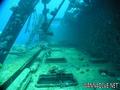 scuba diving photo