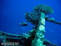 scuba diving photo