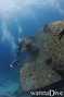 scuba diving photo