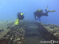 scuba diving photo
