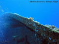 scuba diving photo