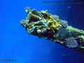 scuba diving photo
