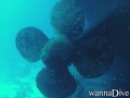 scuba diving photo