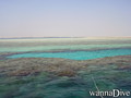 scuba diving photo