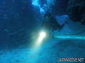 scuba diving photo