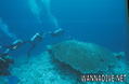 scuba diving photo